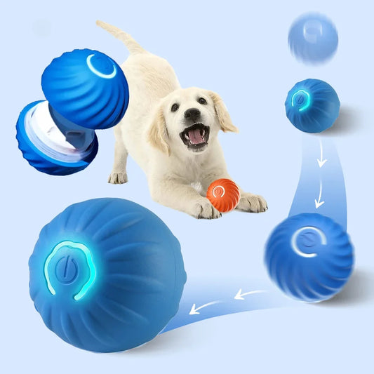 Dog Interactive Toy Ball